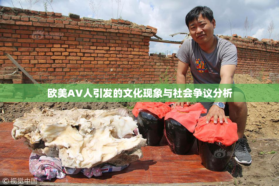 欧美AV人引发的文化现象与社会争议分析
