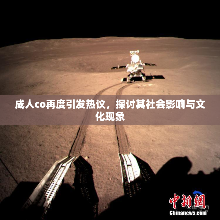 成人co再度引发热议，探讨其社会影响与文化现象