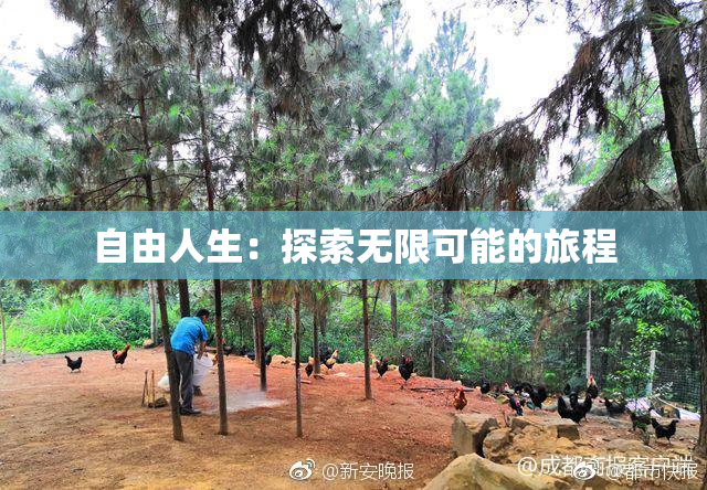 自由人生：探索无限可能的旅程