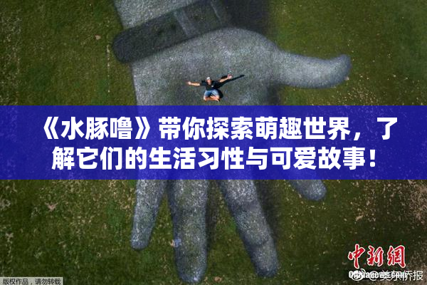 《水豚噜》带你探索萌趣世界，了解它们的生活习性与可爱故事！