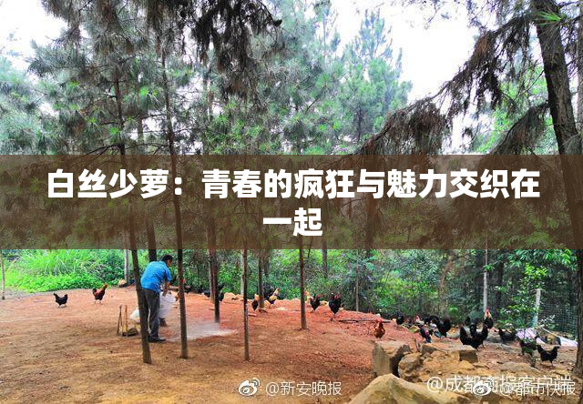 白丝少萝：青春的疯狂与魅力交织在一起
