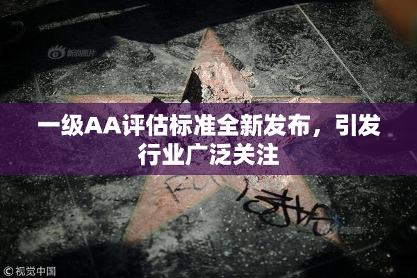 一级AA评估标准全新发布，引发行业广泛关注