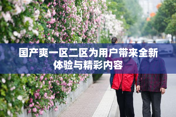 国产爽一区二区为用户带来全新体验与精彩内容