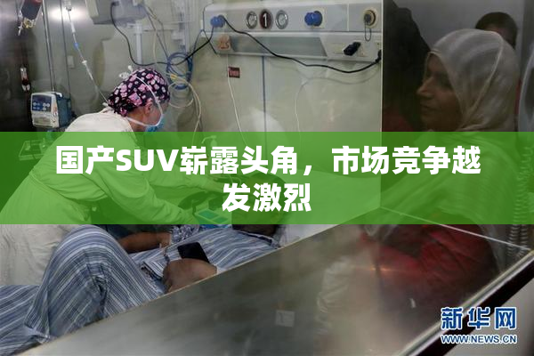 国产SUV崭露头角，市场竞争越发激烈