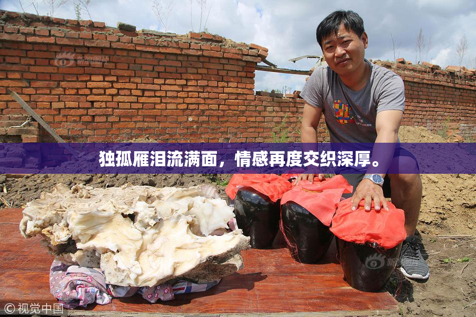 独孤雁泪流满面，情感再度交织深厚。
