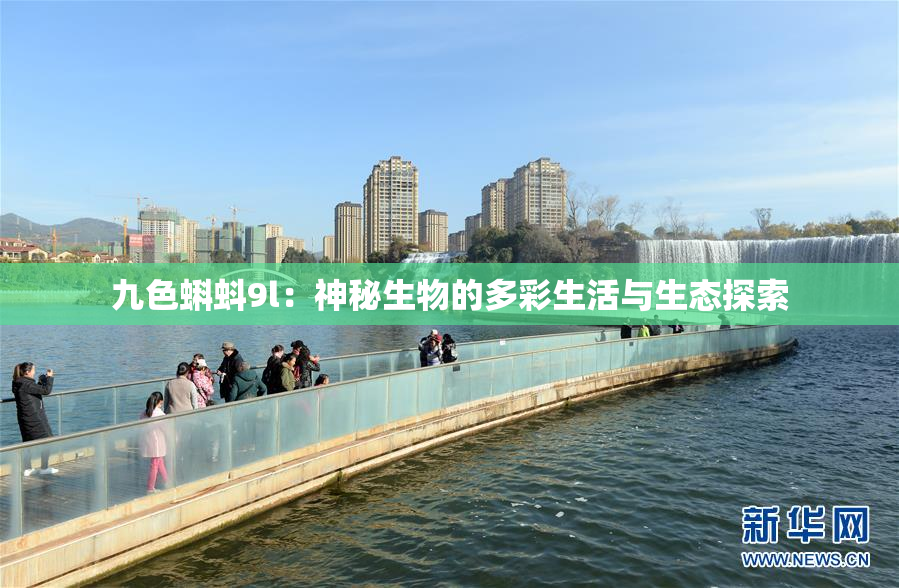 九色蝌蚪9l：神秘生物的多彩生活与生态探索