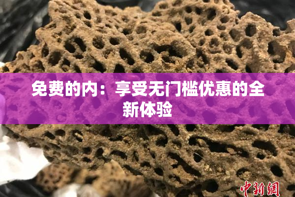 免费的内：享受无门槛优惠的全新体验