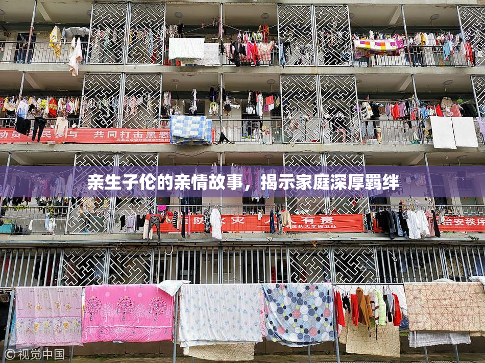 亲生子伦的亲情故事，揭示家庭深厚羁绊
