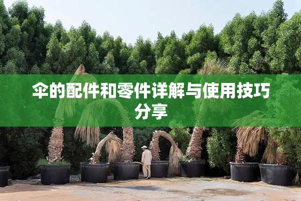 伞的配件和零件详解与使用技巧分享