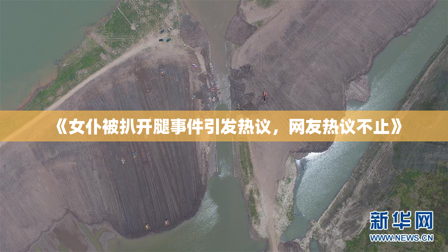 《女仆被扒开腿事件引发热议，网友热议不止》