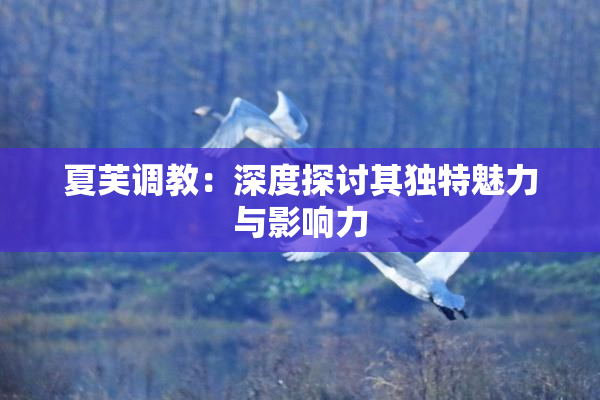 夏芙调教：深度探讨其独特魅力与影响力