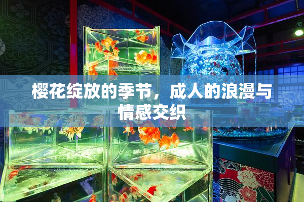 樱花绽放的季节，成人的浪漫与情感交织