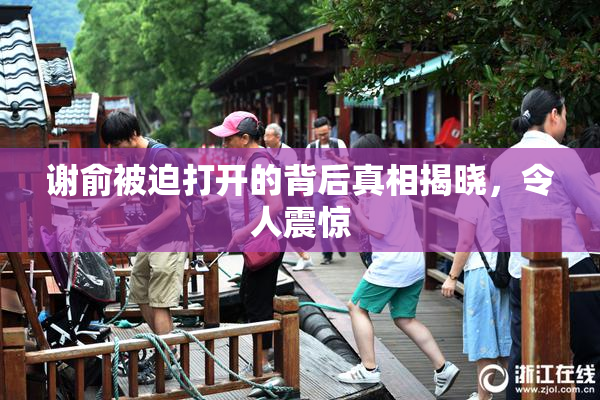 谢俞被迫打开的背后真相揭晓，令人震惊