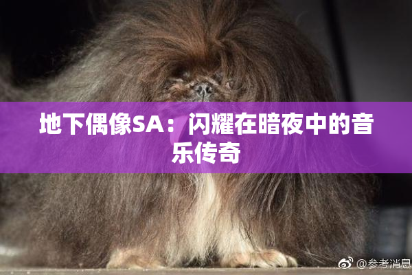 地下偶像SA：闪耀在暗夜中的音乐传奇