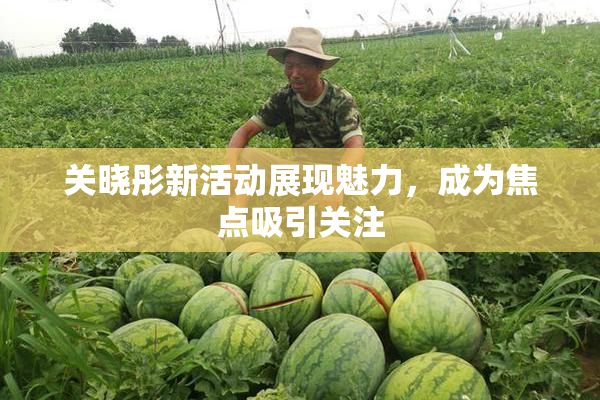 关晓彤新活动展现魅力，成为焦点吸引关注