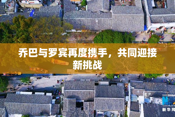 乔巴与罗宾再度携手，共同迎接新挑战