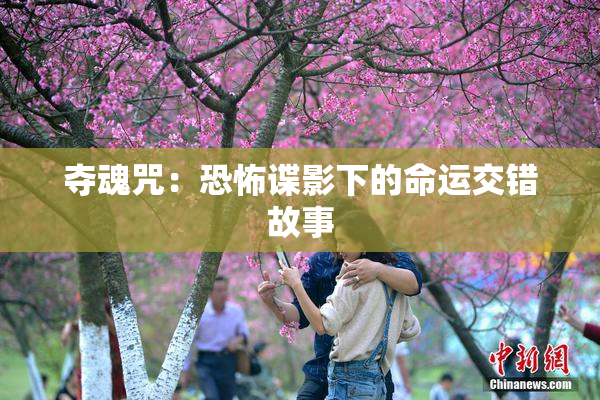 夺魂咒：恐怖谍影下的命运交错故事
