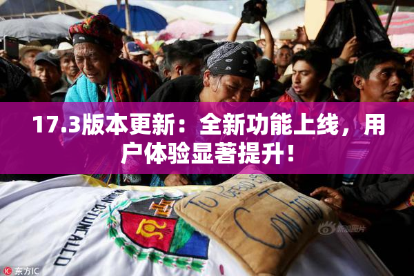 17.3版本更新：全新功能上线，用户体验显著提升！