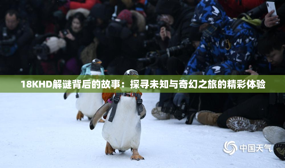 18KHD解谜背后的故事：探寻未知与奇幻之旅的精彩体验