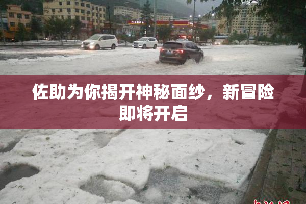 佐助为你揭开神秘面纱，新冒险即将开启