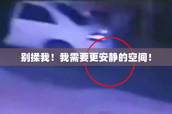 别揉我！我需要更安静的空间！