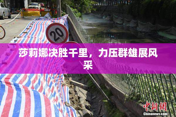 莎莉娜决胜千里，力压群雄展风采