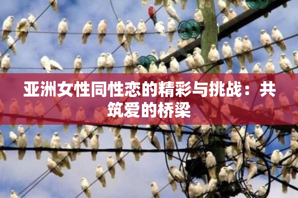 亚洲女性同性恋的精彩与挑战：共筑爱的桥梁
