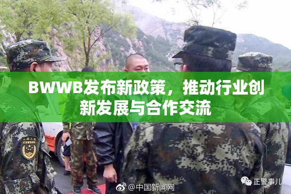 BWWB发布新政策，推动行业创新发展与合作交流
