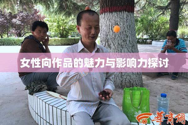 女性向作品的魅力与影响力探讨