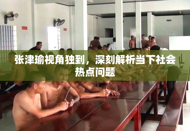 张津瑜视角独到，深刻解析当下社会热点问题