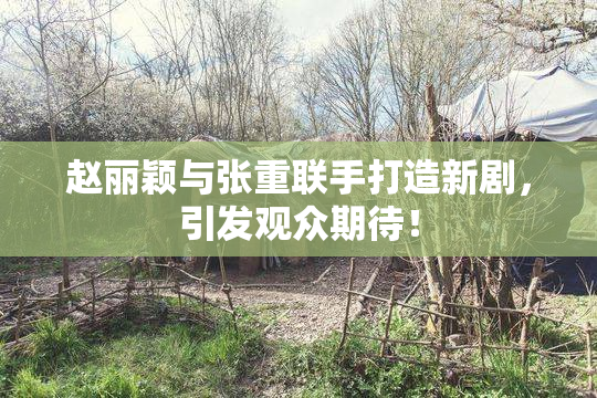 赵丽颖与张重联手打造新剧，引发观众期待！