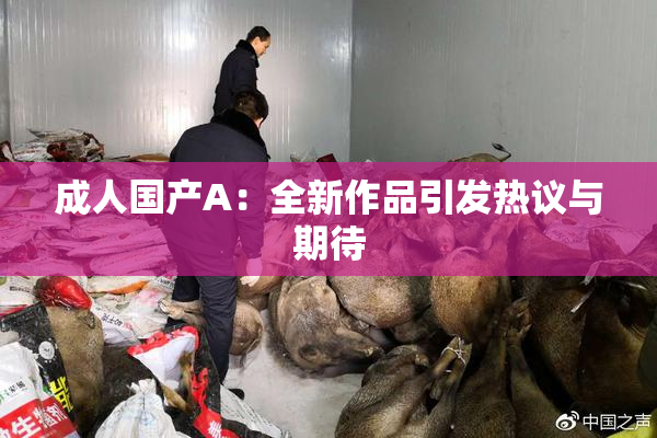 成人国产A：全新作品引发热议与期待