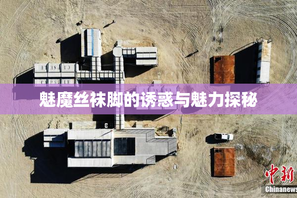 魅魔丝袜脚的诱惑与魅力探秘