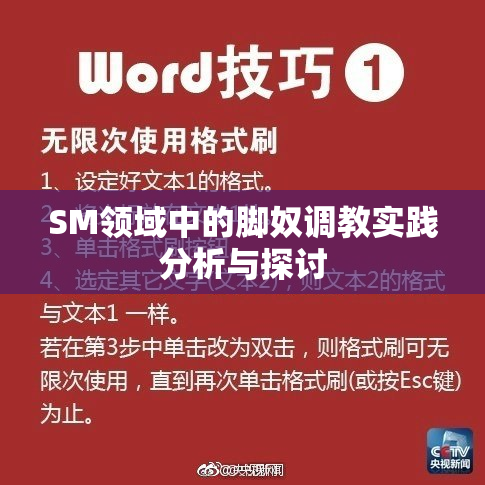 SM领域中的脚奴调教实践分析与探讨