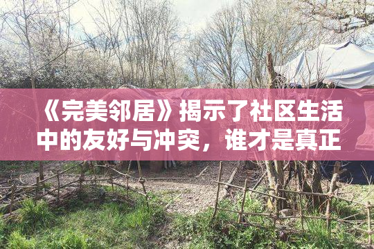 《完美邻居》揭示了社区生活中的友好与冲突，谁才是真正的邻里典范？