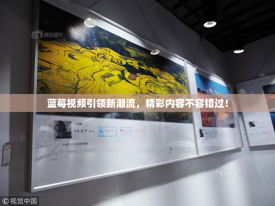 蓝莓视频引领新潮流，精彩内容不容错过！