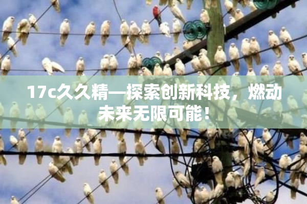 17c久久精—探索创新科技，燃动未来无限可能！