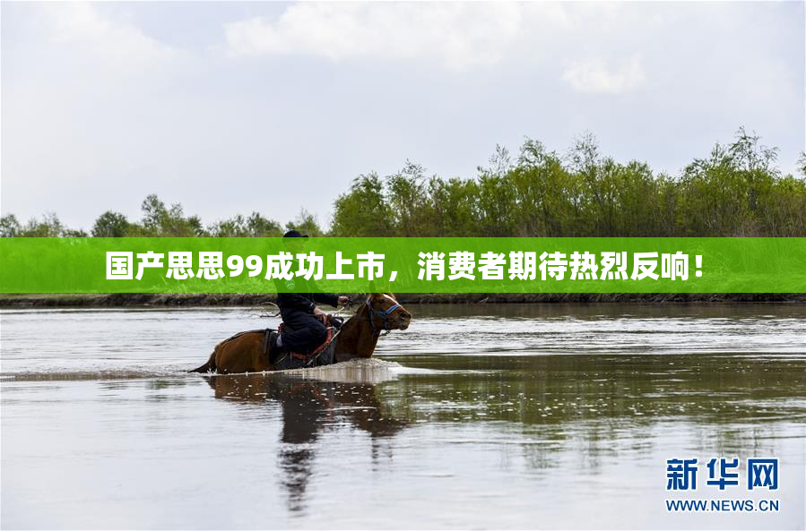 国产思思99成功上市，消费者期待热烈反响！