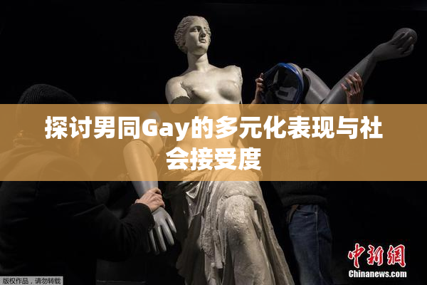 探讨男同Gay的多元化表现与社会接受度