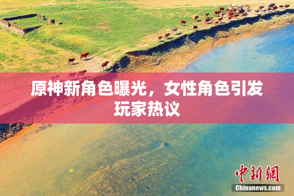 原神新角色曝光，女性角色引发玩家热议