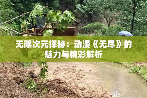 无限次元探秘：动漫《无尽》的魅力与精彩解析