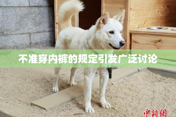 不准穿内裤的规定引发广泛讨论