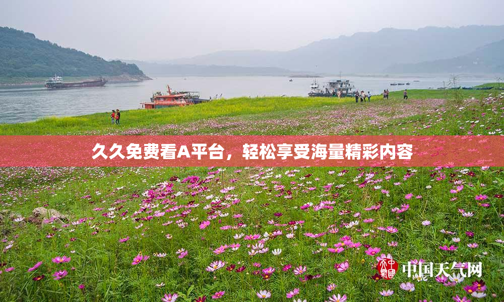 久久免费看A平台，轻松享受海量精彩内容