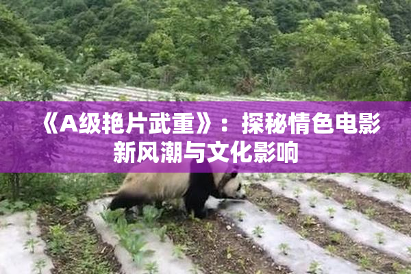 《A级艳片武重》：探秘情色电影新风潮与文化影响