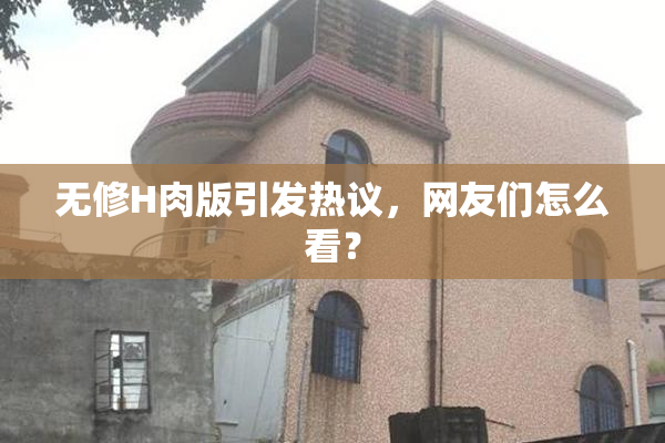 无修H肉版引发热议，网友们怎么看？