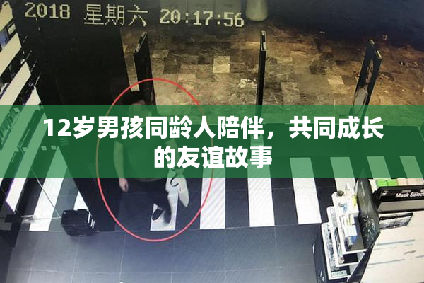12岁男孩同龄人陪伴，共同成长的友谊故事