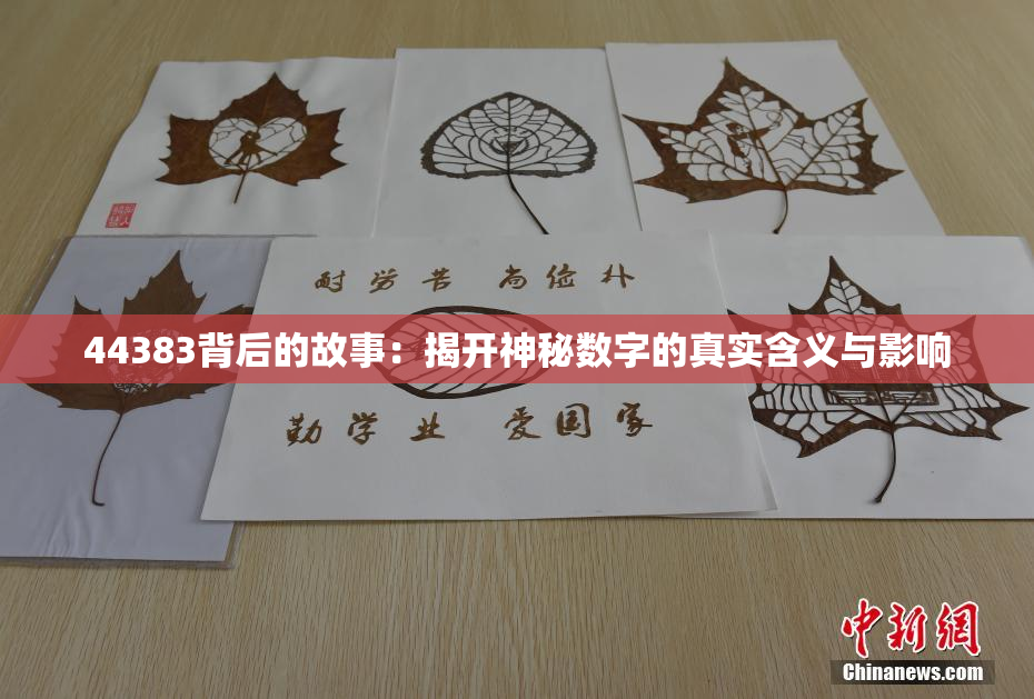 44383背后的故事：揭开神秘数字的真实含义与影响