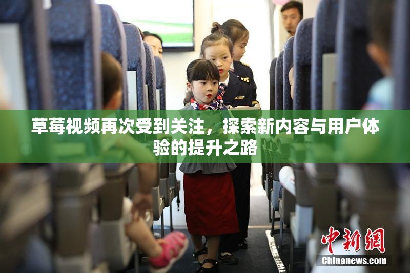 草莓视频再次受到关注，探索新内容与用户体验的提升之路