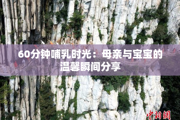 60分钟哺乳时光：母亲与宝宝的温馨瞬间分享