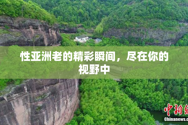 性亚洲老的精彩瞬间，尽在你的视野中